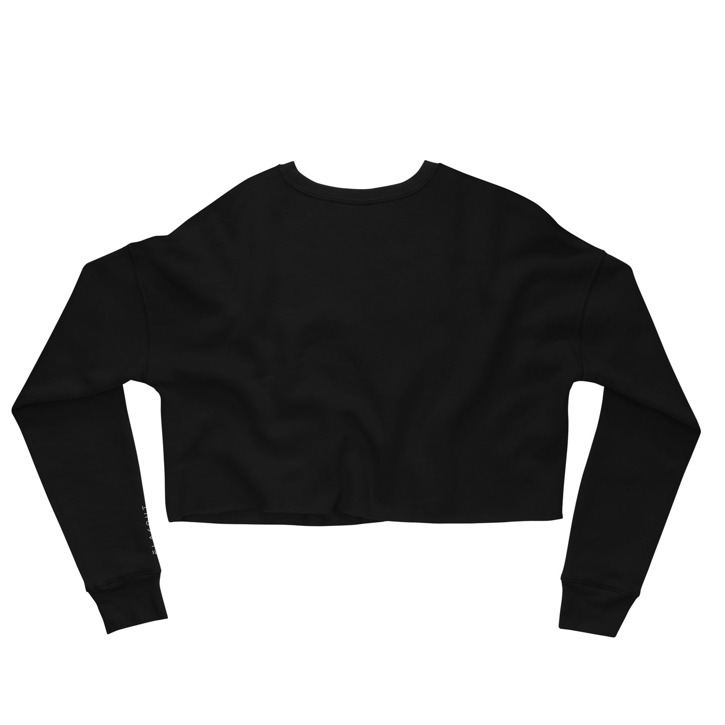 Isaiah 40:31 Women's Crop Sweatshirt - FLAKOUT